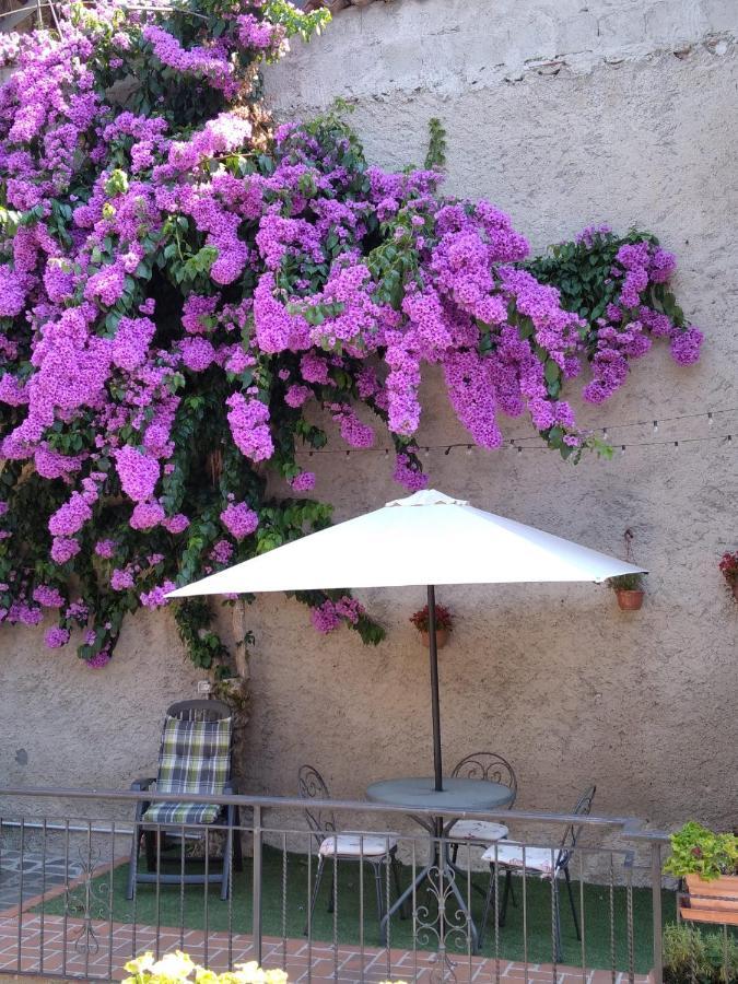 Ferienwohnung Il Giardino Di Laura Toscolano-Maderno Exterior foto
